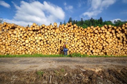 Ekonomicky newsfilter Domace pily mozu krachovat pri priekupnikoch so statnym drevom