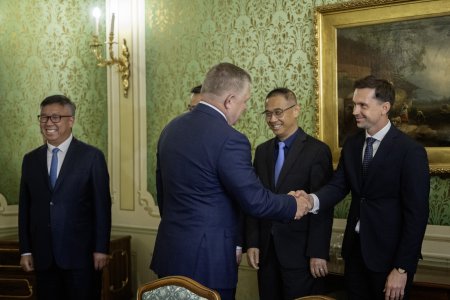 Surianska baterkaren ziskala dolezite povolenie vasne vzbudila