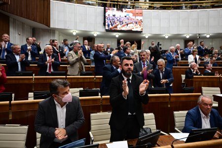 K comu sa ustavna devatdesiatka dopracovala