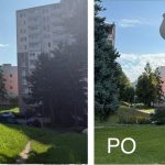 Lebo je to vzacne