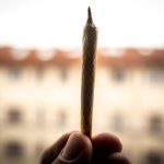 Tyzden v prave Rada Prochazku Nepohulis a ine prikazania