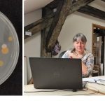 Umelecke diela chrania restauratori a mikrobiologovia