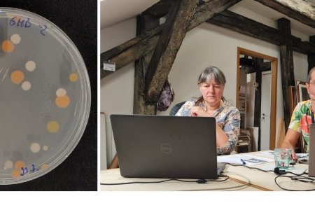 Umelecke diela chrania restauratori a mikrobiologovia