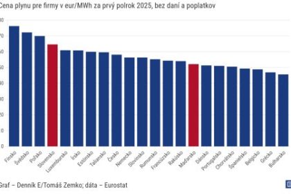 Graf dna Slovenske firmy nemaju lacny rusky plyn