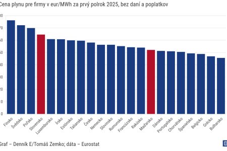 Graf dna Slovenske firmy nemaju lacny rusky plyn