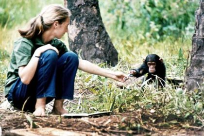 Prirode podala ruku a objala ju Zomrela primatologicka a ochranarka Jane Goodall