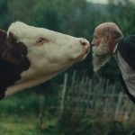 Romantika na samote pri lese Film Radsej zosaliet v divocine je surovy zaznam hladania seba