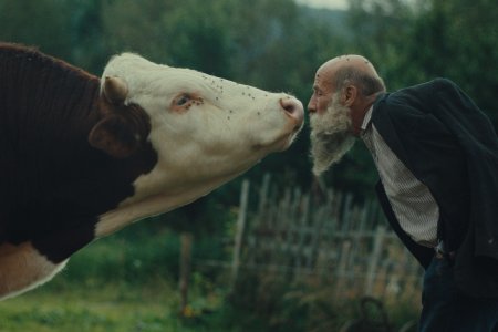 Romantika na samote pri lese Film Radsej zosaliet v divocine je surovy zaznam hladania seba