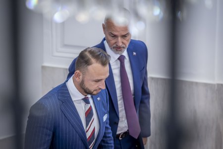 Hlas chce menit zakon po prehratom spore
