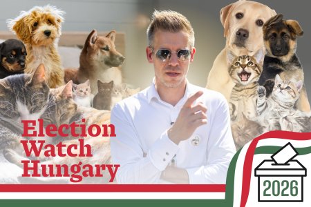 Propaganda vojna vlady teraz tvrdi ze Peter Magyar chce zdanovat maciatka 136 dni do volieb