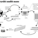 umele maso hmyz zemiaky a ine zvrhlosti