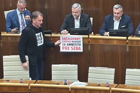 Ekonomicky newsfilter Koalicia bura vsetko co brani amnestii
