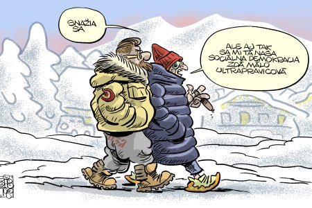 Frustrovany volic