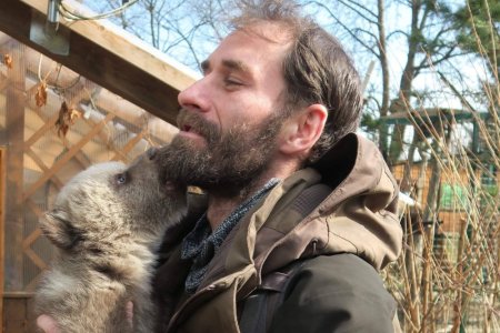 Ochranca Hletko Za dva roky zahynulo najmenej 383 medvedov Taraba spustil masaker