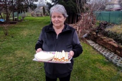 Vlasta Heredyova Vianocne oblatky a trubicky mi nechutia