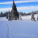 Hiking Basecamp Chocska zimna trilogia spaja tri vrcholy hlboky sneh a noclah v utulni