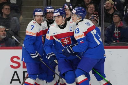 Ked Pitkovi diagnostikovali cukrovku bal sa konca hokeja Kapitanovi Slovenska pomohol Halak