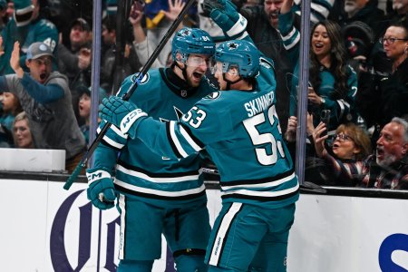 rano s nhl co robi regenda neurologicka a psychologicka ponukaju mozne vysvetlenie viralneho videa