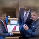 Mimovladne organizacie nevidia zmysel v prisnejsich statnych kontrolach uz teraz mame rozsiahle kontroly odkazuju vlade anketa