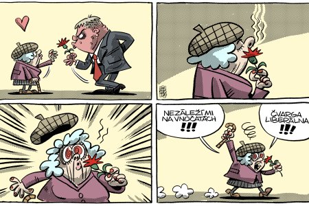 Shooty Carovny kvet