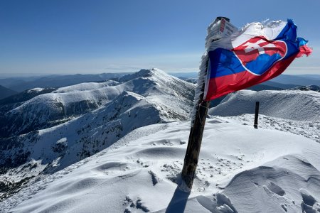 V com spociva problem vychovat nove Vlhove Rodicia rocne investuju desattisice v Rakusku sa im lyzuje lepsie a lacnejsie