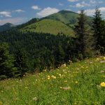 Vysokohorska vegetaacia uz nema kam ustupovat pred oteplovanim meni sa patkrat rychlejsie ako lesy a luky