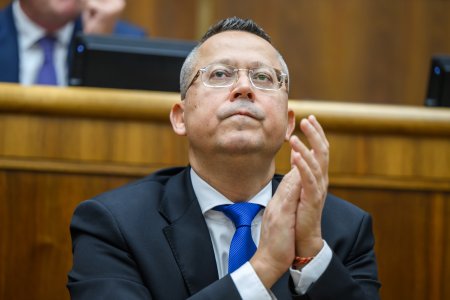 deficit verejnych financii bol vlani pravdepodobne nizsi nbs ho odhaduje na 46 percenta