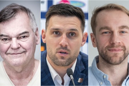 Vujtek Svarny Marcinko O bezstarostnych Slovincoch vyluceniach a uskaliach polopasivneho diamantu