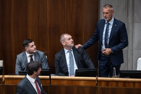 V Narodnej rade panuje protislovensky legislativny teror