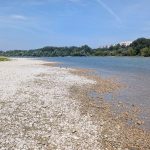 Karloveske rameno prejdete suchou nohou Dunaj odhaluje plaze lode plavaju s obmedzeniami