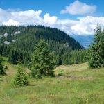 Turisticka zakladna Kde sa na Liptove vyhnut davnom Skuste Ohnisate a Krakovu holu peso aj na bicykli