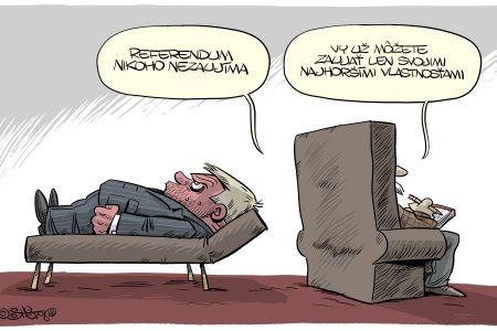 referendum ako vesela lekcia z obcianskej vychovy