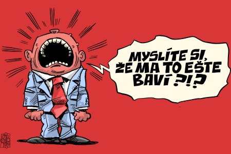 Fico je lenivy riadit krajinu a riesit problemy
