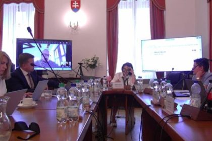 Sudna rada na moju lutost postupne straca opravnenie na svoju existenciu