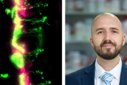 Psilocybín môže zmierniť ťažkosti po chemoterapii, otestujú na ľuďoch