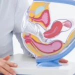 Vaginálny estrogén pomáha po menopauze, lekári strašia rakovinou