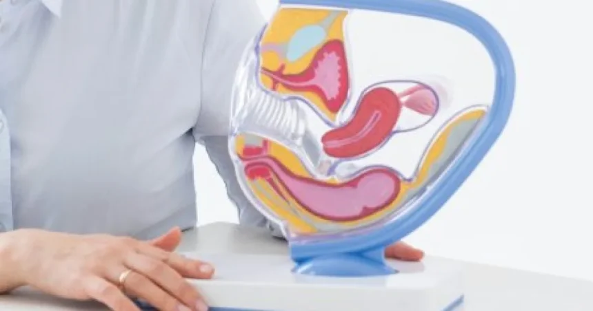Vaginálny estrogén pomáha po menopauze, lekári strašia rakovinou