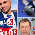 Bizarné voľby: fitnesák, Slovexit, Holub, antiliberál a kurz 1:88