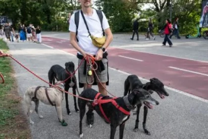 Chrty sú životný štýl. Netreba im veľa pohybu a najviac zaberú po pretekoch