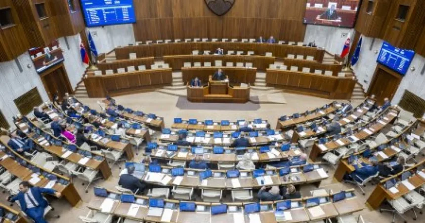 Na Slovensku chýba poistka vo forme senátu, v ústavnom poriadku absentuje spomaľovač