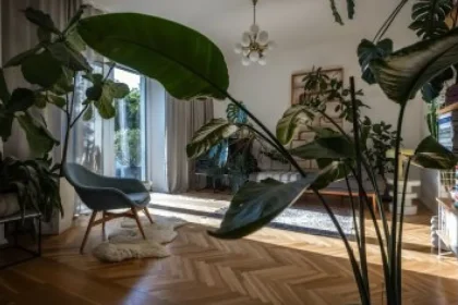 Retro nábytok, stromy i dielňa z garáže: Takto býva dizajnérka Kubánová
