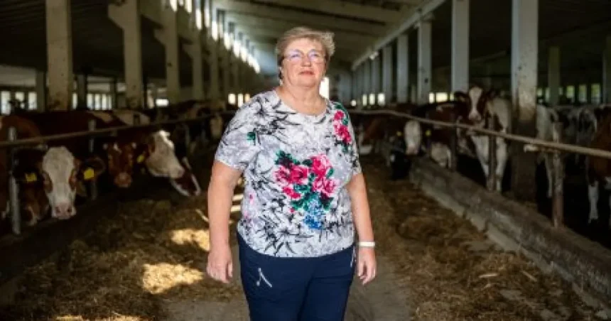 Šéfka družstva Beličáková: Obilniny sa neoplatí predávať, bez dotácií to neutiahneme