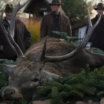 Tri filmárky sa nás snažia prebudiť pud sebazáchovy
